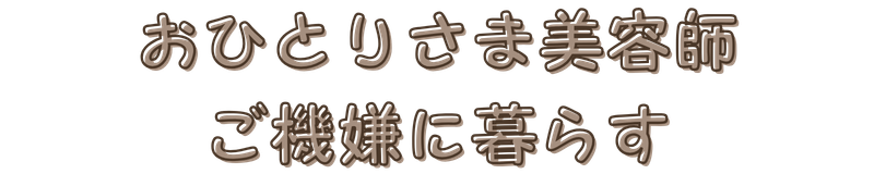おひとりさま美容師ご機嫌に暮らす